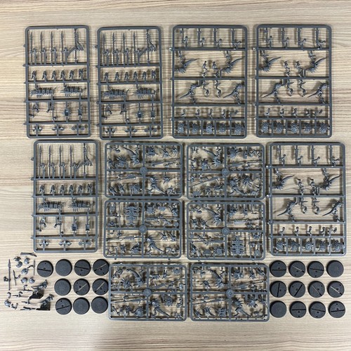 Seraphon bundle warhammer - seraphon,