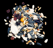 Papageienfutter ohne Nüsse 20