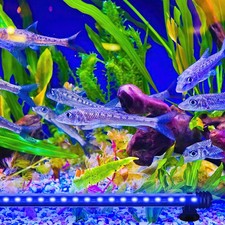 LED Aquarium Lampe Universal