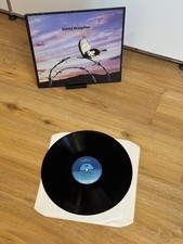 12" Vinyl-LP: David Knopfler -