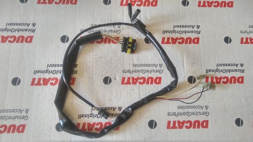 Ducati 748 916 996 998 - ducati, 748/916/996/998