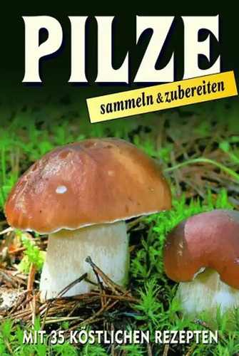 Pilze sammeln zubereiten - sammeln,