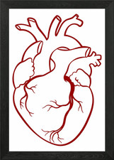 Anatomisch realistisch Mensch