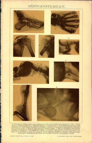 Lithographie steindruck - -,