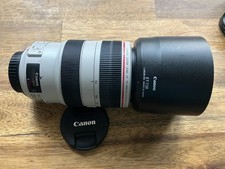 Canon EF 70-300mm f/4-5.6L IS