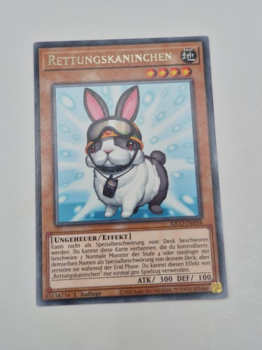 Rettungskaninchen kico de034 - -,