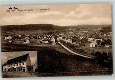 13466118 - 7717 Immendingen