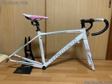 Bianchi Rennrad Rahmen mit