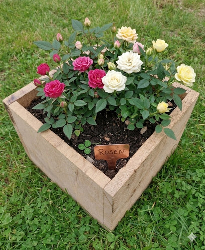Quadratisches holz hochbeet - quadratisches, holz-hochbeet