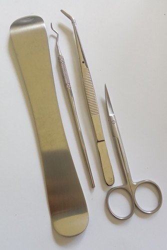 Dental - 4.,