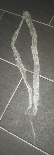 Echte schlangenhaut von - echte,