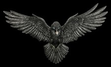 Wanddeko - Flug des Raben -