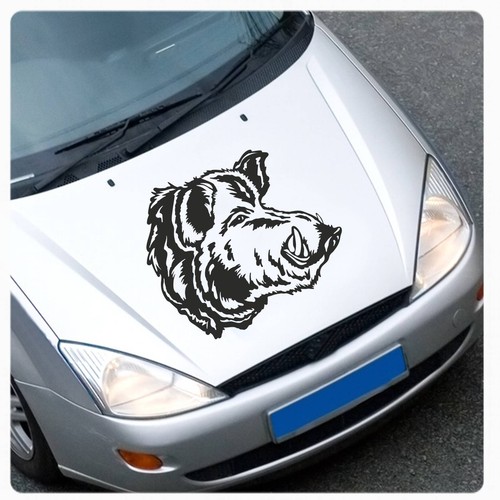 Keiler wildschwein wildsau - keiler,