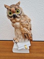 Eule auf Bücherstapel