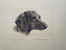 "Schweißhund" original