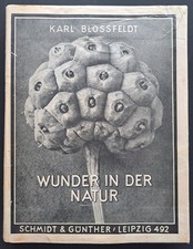 Karl Blossfeldt - Wunder in