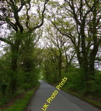 Foto 6x4 Woodway bei Budbrooke