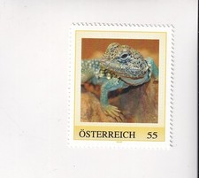 ÖSTERREICH Briefmarke PM ZOO SCHÖNBRUNN Wien HALSBANDLEGUAN Reptilien Postfrisch