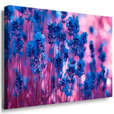 Wandbild Lavendel Duft herlich