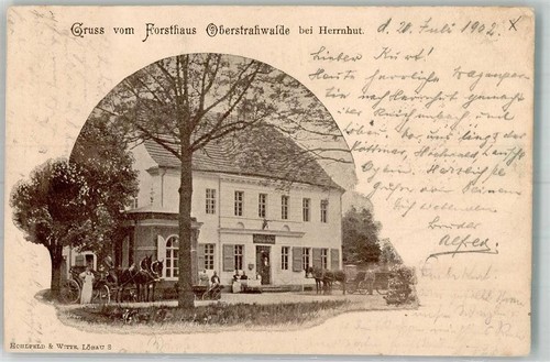 13534517 8709 herrnhut - 13534517,