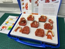 Go Dent - Schaumodelle