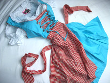 Tolles Dirndl Trachtenkleid