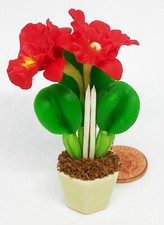 Puppenhaus rote Ton Orchidee