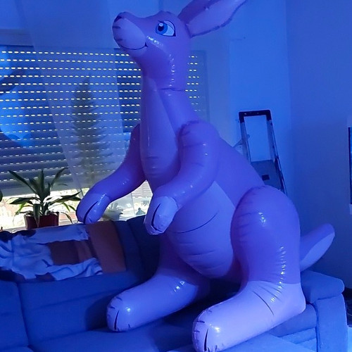 Horseplay inflatables large - horseplay,