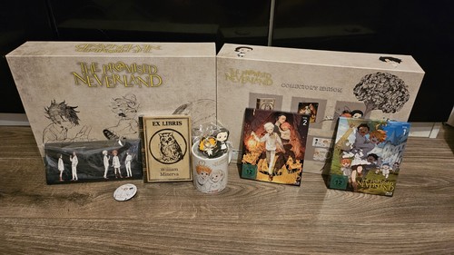 The promised neverland anime - promised,