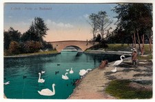 Krefeld Partie im Stadtwald Teich Brücke 16.10.1925