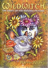 Wildwitch: The Craft of the