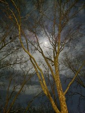 Herrendiener Kleider Stange