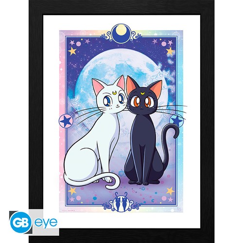 Sailor moon gerahmter druck - gerahmter,