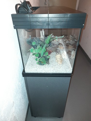 Aquarium eheim proffesionel - aquarium,