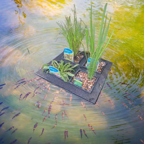 Teich schwimminsel - teich,