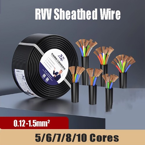 Rvv multi core - rvv,