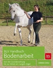 BLV Handbuch Bodenarbeit: Von der Grunderziehung bis zur... | Buch | Zustand gut