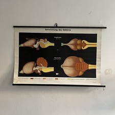 Schulwandkarte Lehrkarte DDR