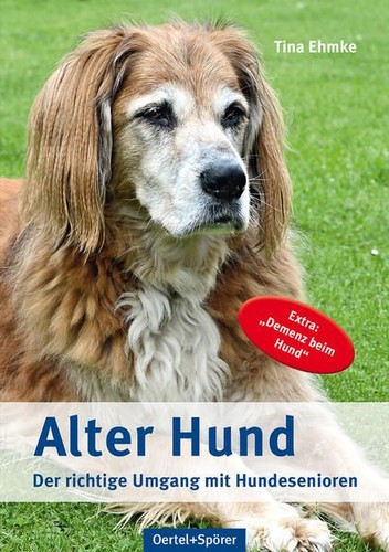 Alter hund der richtige - hund:,