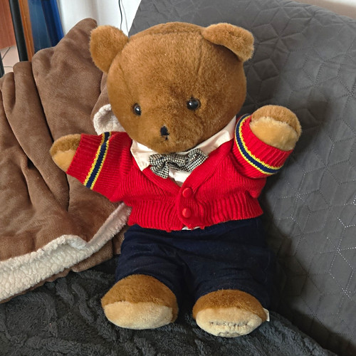 Teddybär plüsch braun - teddybär,