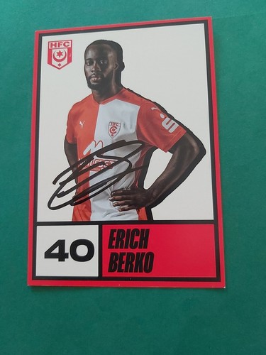 Hallescher berko - fc, e.