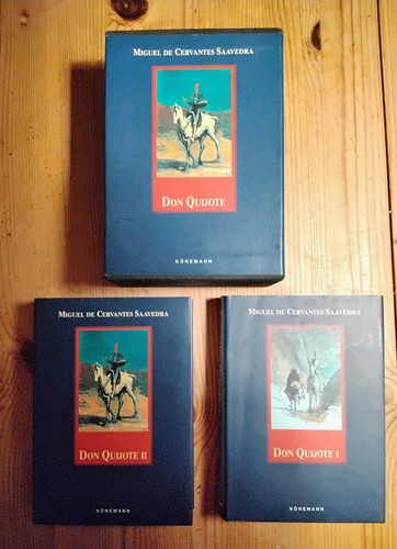 Don quixote miguel - don,