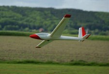 Swift Kunstflugsegler