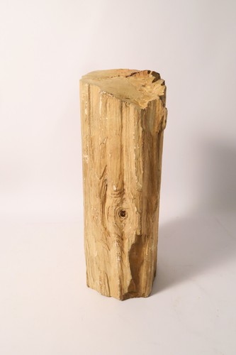 Großes versteinertes holz - großes,