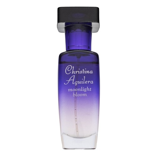 Christina aguilera moonlight - christina,