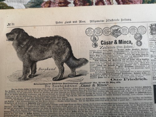 ülum 1879 zeitungsdruck 31 - rk/Ülum,