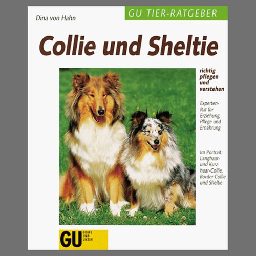 Dina von hahn collie - von,