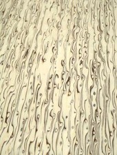 Maserbirke Furnier Birke Maser