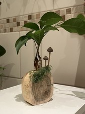 Reagenzglas Vase Holz Vase