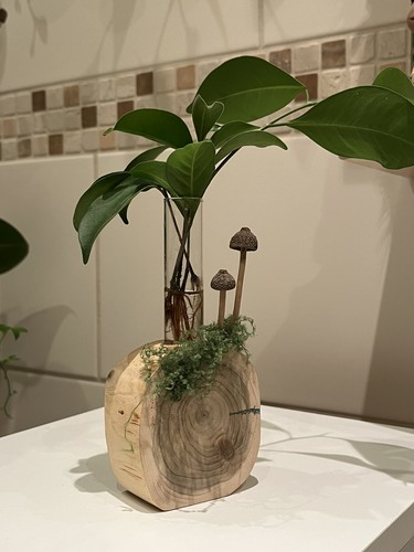 Reagenzglas vase holz - reagenzglas,